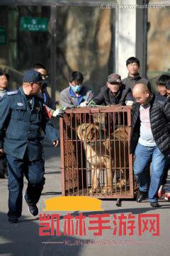 動物搬家遊戲截圖-3